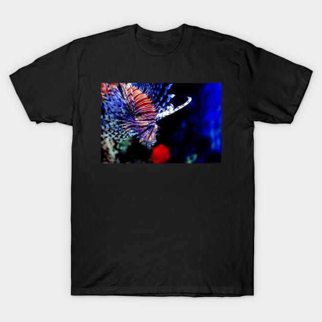 Red lionfish or zebrafish underwater T-Shirt by lena-maximova